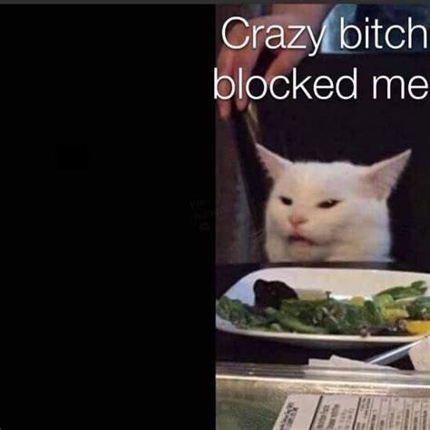 1080 × 1080 | Funny cat memes, White cat meme, Funny pictures