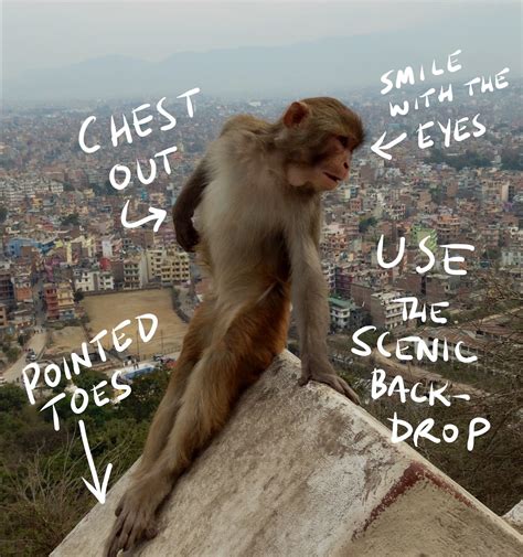 What Industry Leaders Are Saying About Erotic Monkey NH (It's HUGE!) Image 19