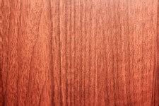 maple wood background  stock photo public domain pictures