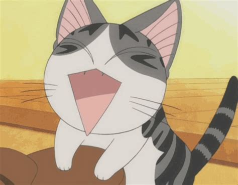 cute animal animated gif wifflegif