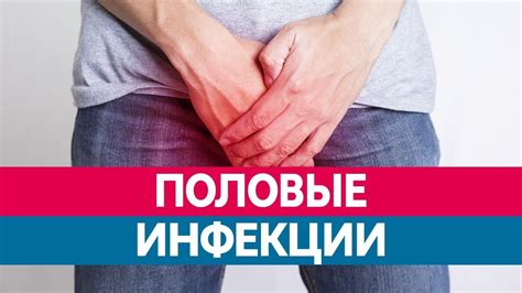 ПОЛОВЫЕ ИНФЕКЦИИ И ВЕНЕРИЧЕСКИЕ ЗАБОЛЕВАНИЯ. Правда и заблуждения ...
