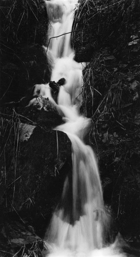 small stream  photo  freeimages