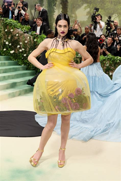 amelia grays rose filled light  dress    met gala