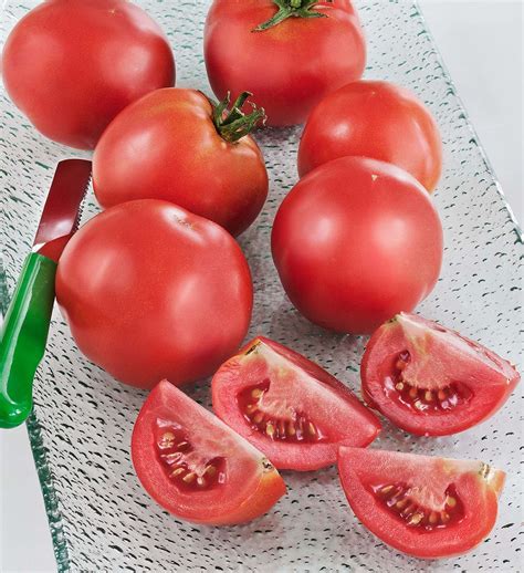 Bonnie Plants Early Girl Tomato 19.3 oz. - Walmart.com - Walmart.com