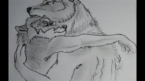 Как нарисовать волка карандашом скетч How to draw a wolf sketch ...