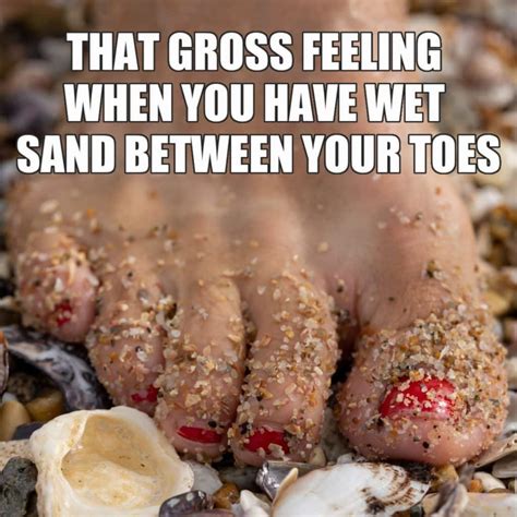15 Funny Summer Memes To Make You Smile Before Summer Ends