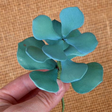 Jade Succulent Plant — CaljavaOnline