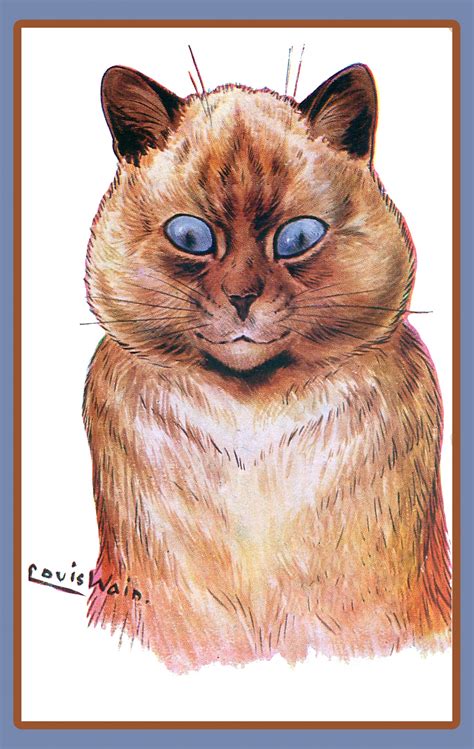 cat drawing louis wain  stock photo public domain pictures