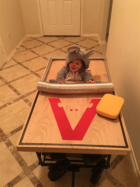 The cutest mouse there ever was : r/aww