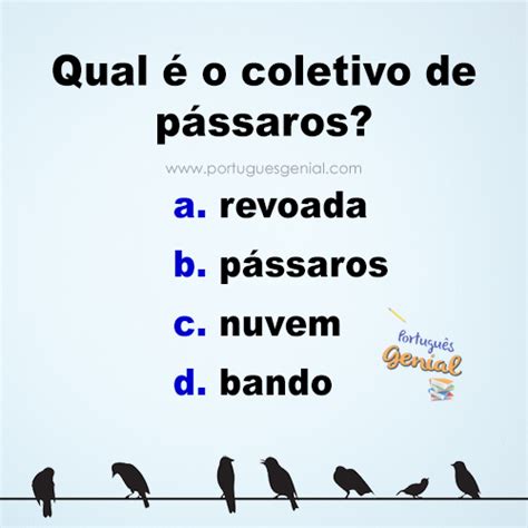 Substantivo Coletivo De Passaros - Coletivo de pássaros - Qual é o coletivo de pássaros? | Português Genial