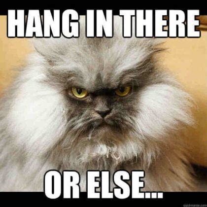 20 Hang In There Meme To Motivate You - SayingImages.com