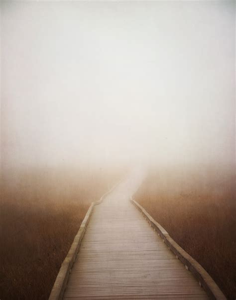 Sparkle & Posy: The Journey - A Pathway Photo