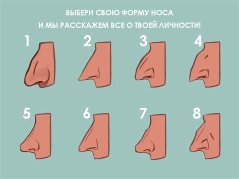 Характер человека по форме носа