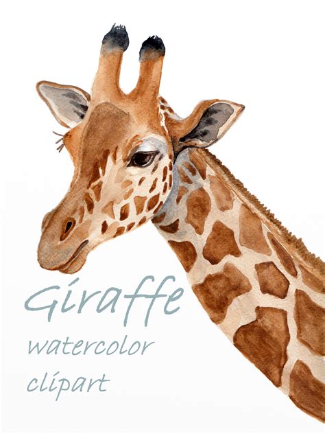 Giraffe Watercolor Clipart Giraffe Print Animals of Africa - Etsy ...