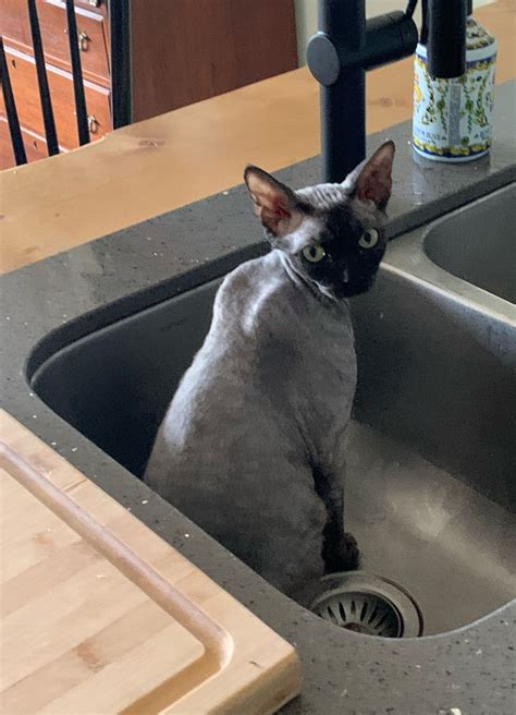 @future-crab on Tumblr