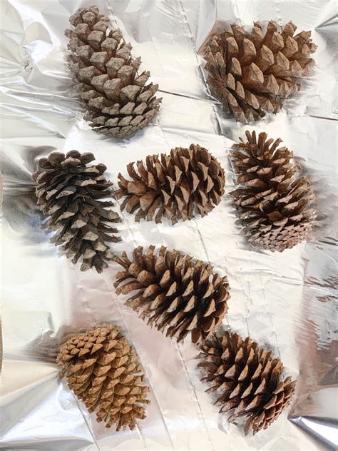 DIY Cinnamon Scented Pine Cones - 2 Bees in a Pod