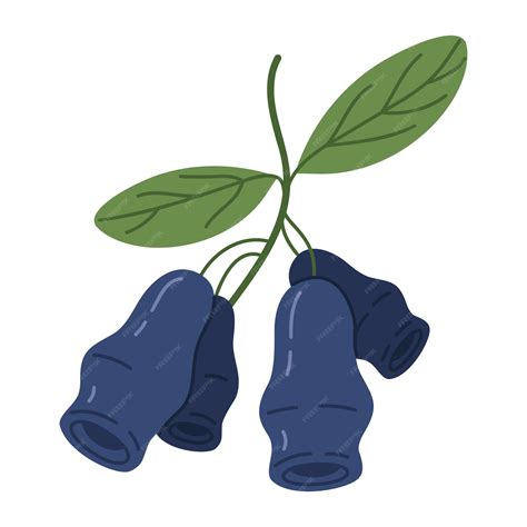 Premium Vector | Wild honeysuckle branch with fresh woodbine juicy