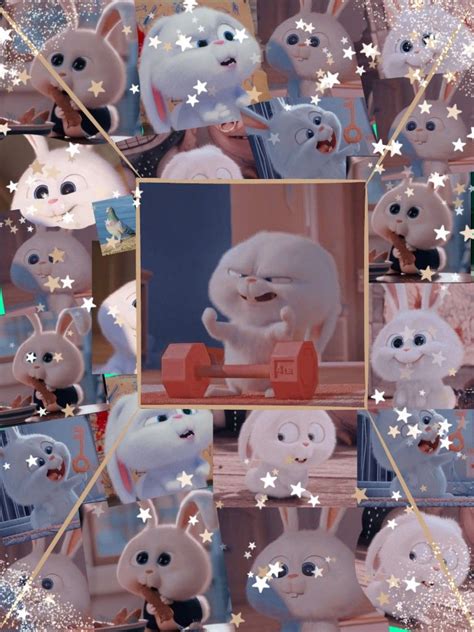 Cute Bunny Cartoon Wallpaper