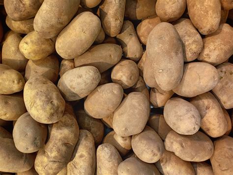 Central American Vegetables