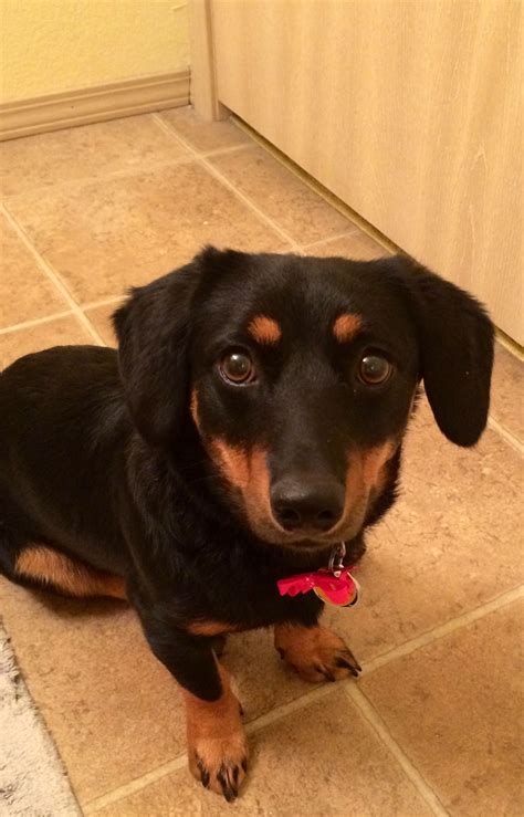 Weenie Mix