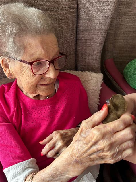 How to get emergency care at the pdsa middlesbrough 13