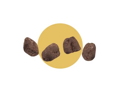 NUD Chocolate Covered Dates, 6 pack - nud fud inc