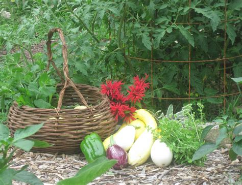 THE FOOD FREEDOM REVOLUTION: Taking Back Control Of Our Health: GROWING ...