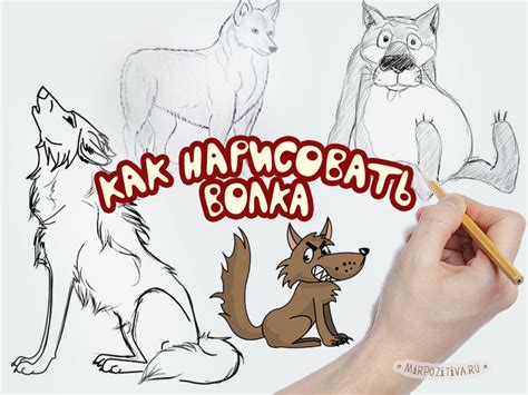 Как нарисовать волка: карандашом поэтапно