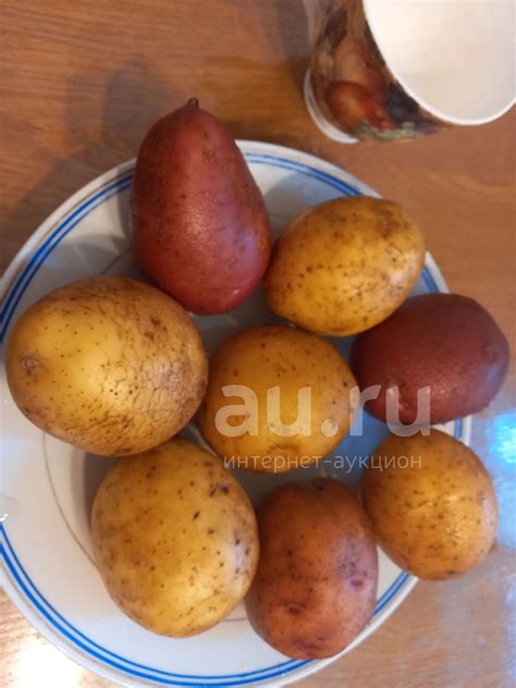 Продам деревенскую картошку со своего огорода — купить в Красноярске ...