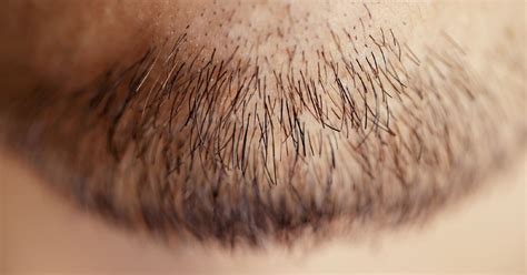 Stages of Hair Growth Plus How to Maintain Hair Health in Every Stage