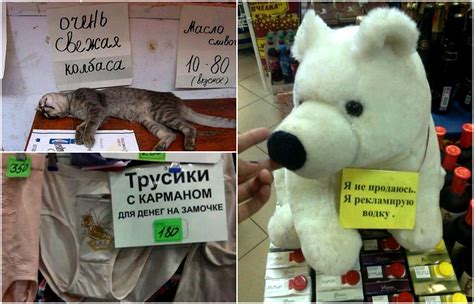 18 бесподобных вывесок и объявлений, которые заставят посмеяться от души