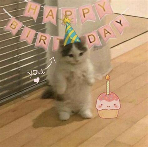 Pin by s ʜ ɪ ɴ ɴ ᴏ ʀ ɪ ㊎ on ʙ ᴀ ɢ ɪ | Happy birthday cat, Cat birthday ...