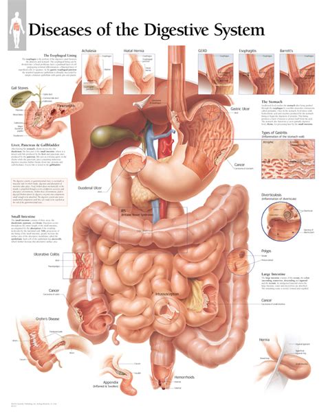 Diseases of Digestive System | Scientific Publishing