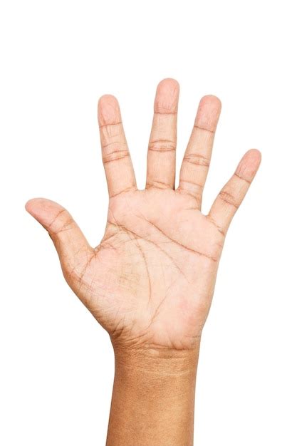 premium photo  hand   number