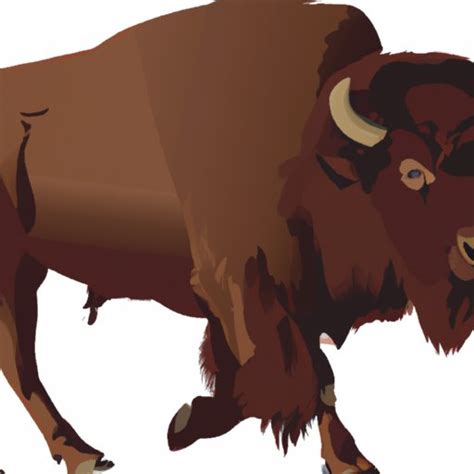 How Much Does a Bison Cost? A Comprehensive Guide to Buying and Raising ...