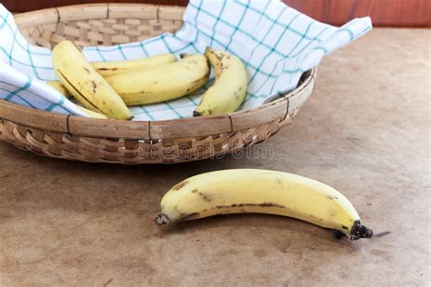 Cavendish Banana stock image. Image of morning, diet - 71711839