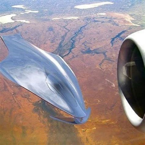 Muizz Salami on LinkedIn: Btw elon heres the big secret everyone doesnt ...