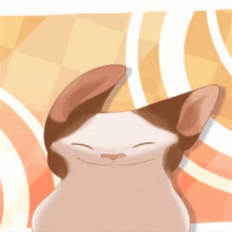 funny gifs pop cat gif vsgifcom