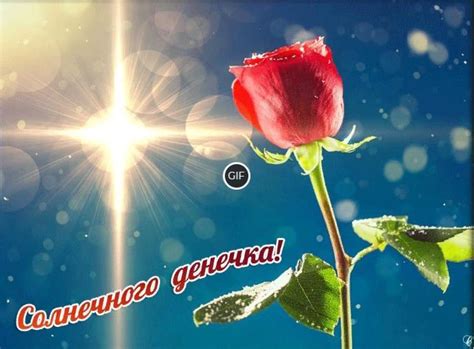 Гифки солнечного дня – Скачать бесплатно