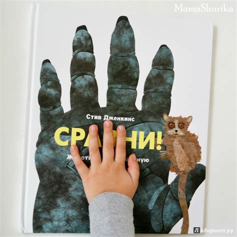 Книга: Сравни! Животные в натуральную величину - Стив Дженкинс. Купить ...