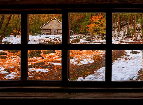nature, Forest, Window, Fall, Snow, Winter Wallpapers HD / Desktop and