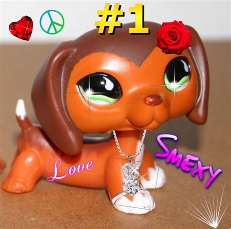 Lps: 675 dachshund - Littlest pet shop Wiki