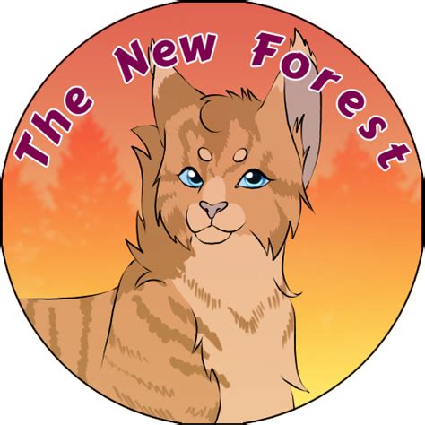 warrior cats  ultimate edition   forest  xsirenspiritx