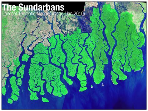 maps&maps: The Sundarbans