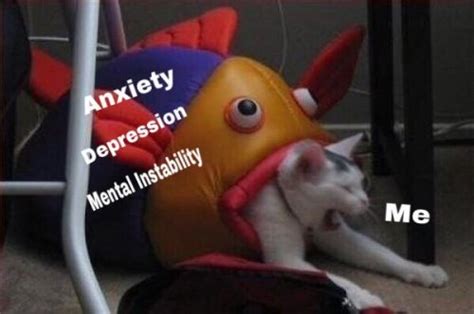 anxiety cat meme | Tumblr