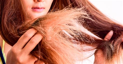 Fios De Cabelo Grossos E Ásperos