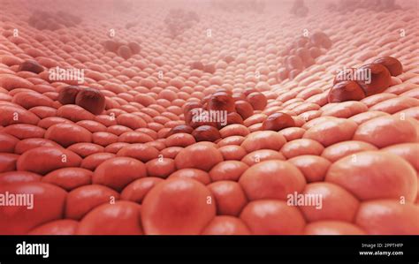 3d animation of cancer cells on tissue Stock Photo - Alamy
