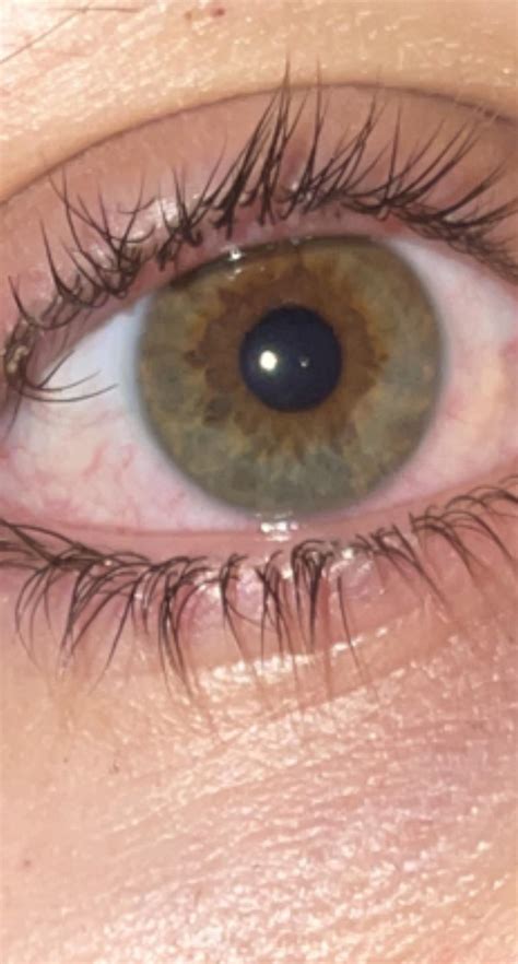 Just 2 different shades of green? : r/eyes