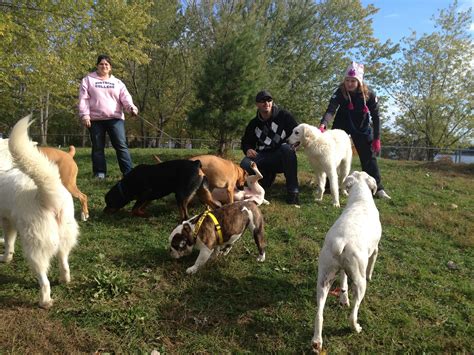 dog park 013 | Rrruffhouse Dog Training | Belleville, Ontario