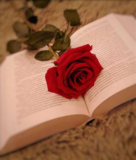 Книга с розой. | Розы, Червы, Постановка